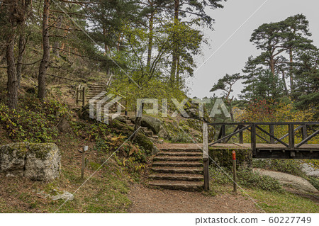 Stairs and wooden bridge in the pine forest of 60227749