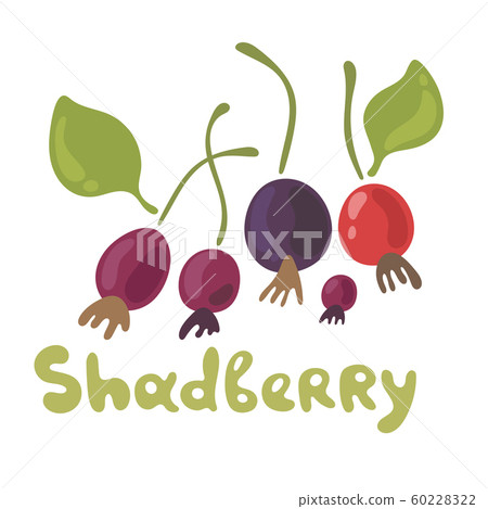 Shadberry hand drawn vector illustration in doodle style. Flat icons for food image. Organic food on white background. Cute plant. Flat doodle design. Shadberry hand drawn vector illustration in doodle style. Flat icons for food image. Organic food on white background. Cute plant. Flat doodle design. 60228322