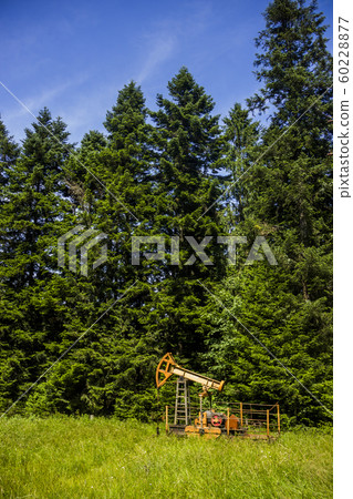 lonely oil pump lonely oil pump 60228877