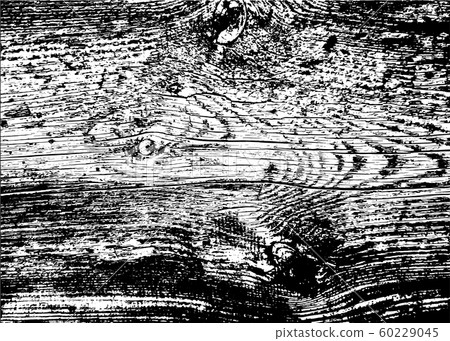 Old wood black and white texture. Vector background image 60229045