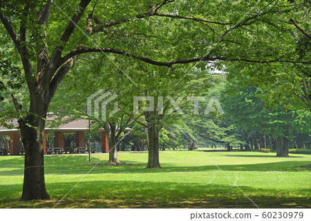 Nogawa Park Chofu City, Tokyo Koganei City Mitaka City Nogawa Park Chofu City, Tokyo Koganei City Mitaka City 60230979