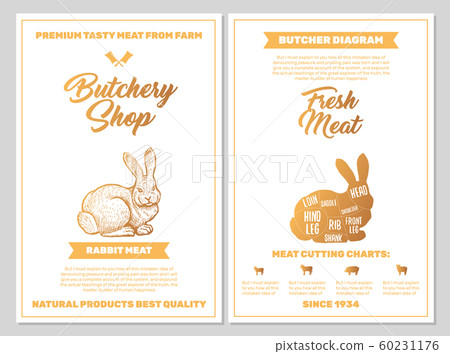 Butchery Shop Poster with Rabbit Meat Cutting Charts in Golden Colors. Butchers Guide Diagram Design 60231176