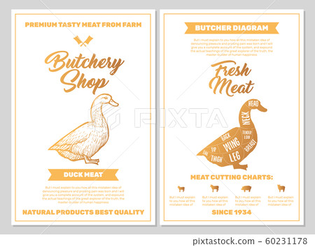 Butchery Shop Poster with Duck Meat Cutting Charts in Golden Colors. Butchers Guide Diagram Design Butchery Shop Poster with Duck Meat Cutting Charts in Golden Colors. Butchers Guide Diagram Design 60231178