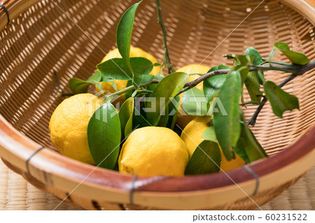 Yuzu 60231522