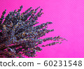 Photo of a bouquet of dried blue lavender on a pink background front view 60231548