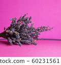 Photo of a bouquet of dried blue lavender on a pink background front view 60231561