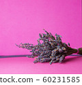 Photo of a bouquet of dried blue lavender on a pink background front view 60231585