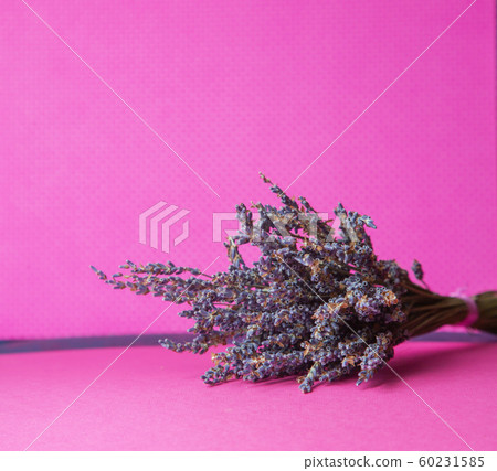 Photo of a bouquet of dried blue lavender on a pink background front view Photo of a bouquet of dried blue lavender on a pink background front view 60231585