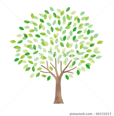 刷新水彩大樹 刷新水彩大樹 60232017