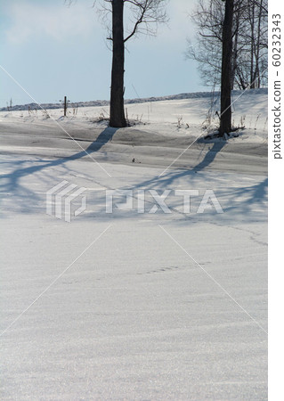 雪原和野生動物足跡 照片素材 圖片 圖庫