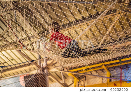 Boy crawls on a net in an obstacle course 60232900
