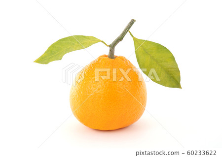 Mandarin orange Mandarin orange 60233622