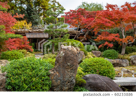 Public exhibition in autumn of Moroto Garden in Kuwana, Mie Prefecture Public exhibition in autumn of Moroto Garden in Kuwana, Mie Prefecture 60233886