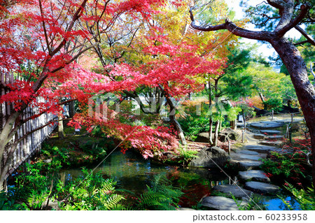 Japanese garden Japanese garden 60233958