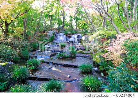 Japanese garden Japanese garden 60234004