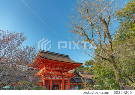 Kyoto Kamigamo Shrine 60234260