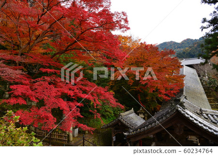 Hase Temple 60234764