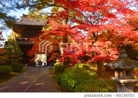 金澤楓葉田德山三門 金澤楓葉田德山三門 60236501