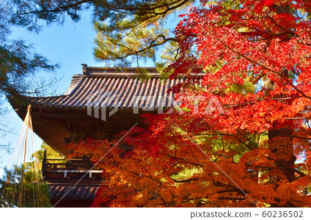 Tentokuin Sanmon秋葉金澤 Tentokuin Sanmon秋葉金澤 60236502