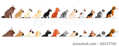 側身小型貓狗邊框套裝 側身小型貓狗邊框套裝 60237709