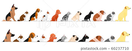 景觀狗和貓的邊界集 景觀狗和貓的邊界集 60237710
