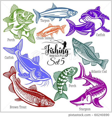 American Fish - vector set 5 for creative design, t-shirt, badge and logo. Isolated on black. American Fish - vector set 5 for creative design, t-shirt, badge and logo. Isolated on black. 60240890