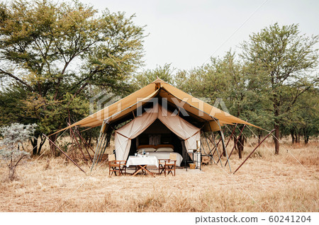 Luxury Safari tent camp in Serengeti Savanna 60241204