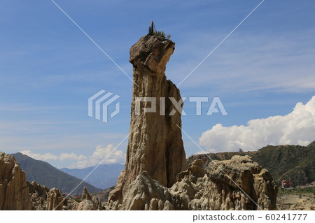 Tsukinotani La Paz Tsukinotani La Paz 60241777