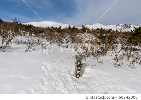 從鬆平五洋看到足立太山 60242006