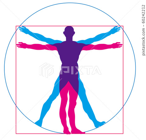 萊昂納多·達·芬奇的人物插圖|人體矢量數據的繪製和繪圖 60242212
