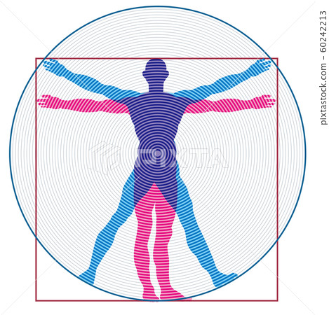 Illustration of the human figure of Leonardo da Vinci | Drawing and drawing of human body vector data 60242213