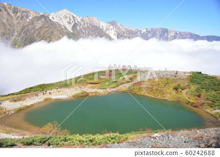 雲海,八尺池和白馬三山 雲海,八尺池和白馬三山 60242688