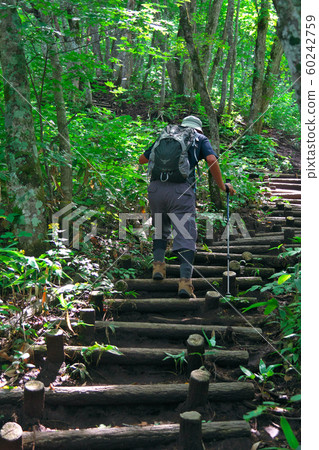 登山 登山 60242759