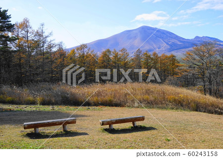 November Kita Karuizawa 15 Asamayama Autumn Leaves / Asama Livestock Farm 60243158