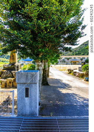 Kawahara Elementary School Closed Historical Record [Goto City, Nagasaki Prefecture] 60243245