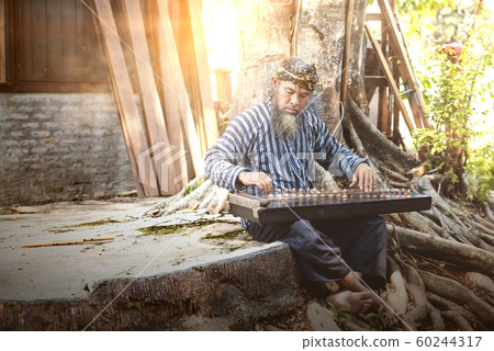 Asian old man playing kecapi with tree background 60244317