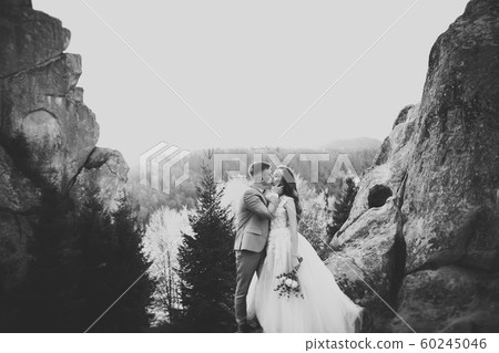 Beautiful bride and groom embracing and kissing on their wedding day outdoors Beautiful bride and groom embracing and kissing on their wedding day outdoors 60245046