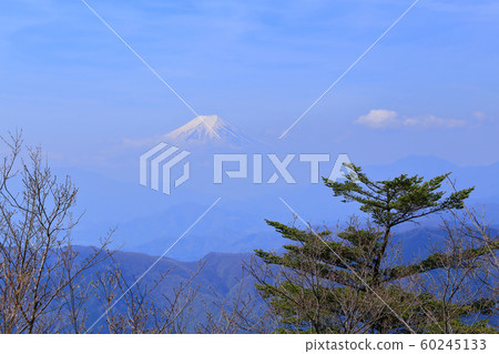 在東京都東京都森林的水戶山頂觀賞富士山 在東京都東京都森林的水戶山頂觀賞富士山 60245133