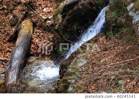The source of the river near Mito Otaki, which springs from Mt. 60245141