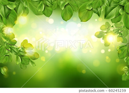 Tree leaves border on green defocused background 60245239