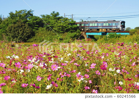 Kobe Electric Railway 6500 series Kobe Electric Railway 6500 series 60245566