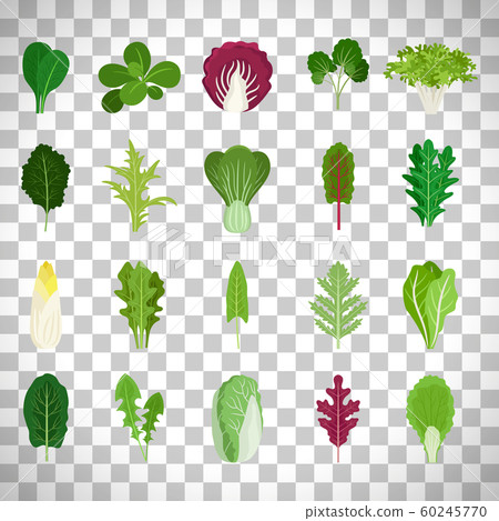Green salad leaves on transparent background Green salad leaves on transparent background 60245770