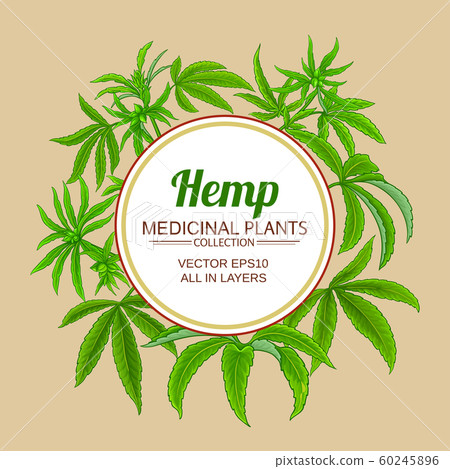 hemp vector frame hemp vector frame 60245896