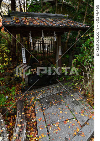 從大豐神社 從大豐神社 60246469
