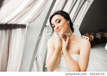 Luxury bride in white dress posing while preparing for the wedding ceremony Luxury bride in white dress posing while preparing for the wedding ceremony 60246539