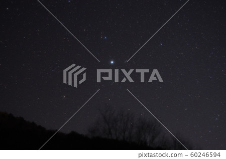 The rising constellation 60246594