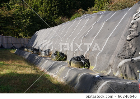 Decontamination 60246646