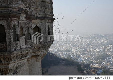 Jodhpur from the top of Mehrangarh, Jodhpur, Rajasthan, India 60247111