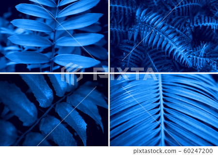 Creative collage tinted in blue color. Creative collage tinted in blue color. 60247200
