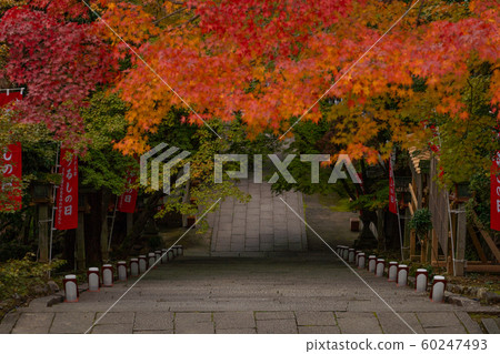 秋葉在京都 60247493